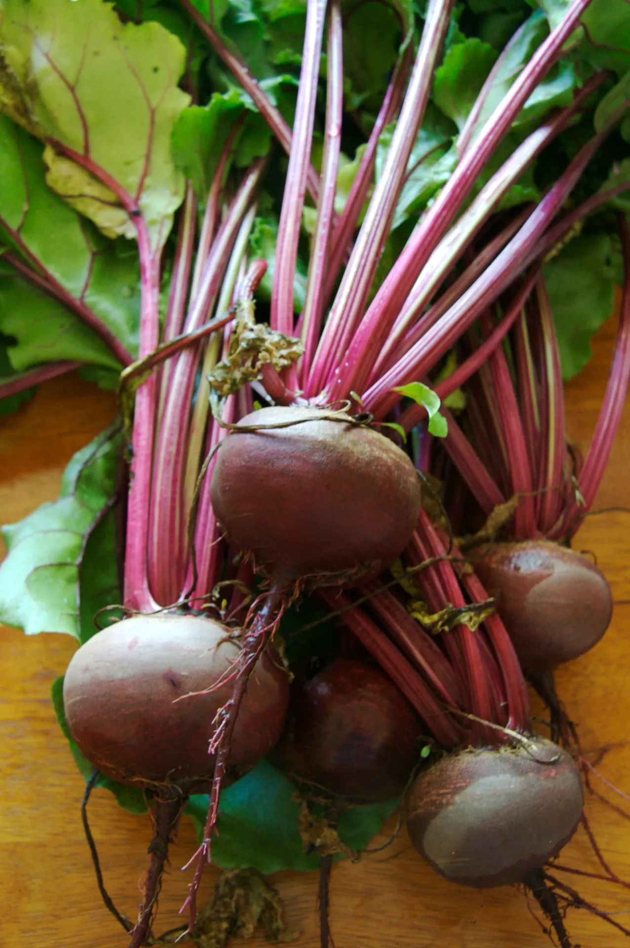 Beetroot